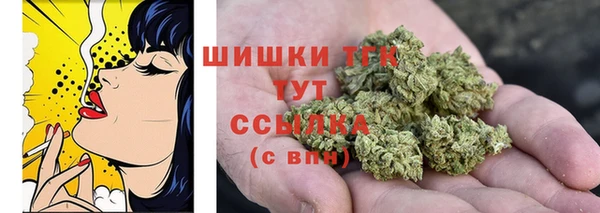 молекула духа Богданович