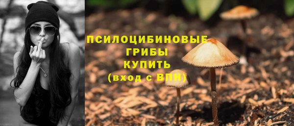 ешки Куйбышев