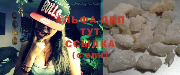 молекула духа Богданович