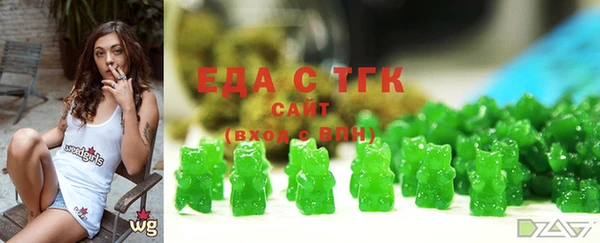 ECSTASY Богородицк