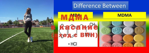 молекула духа Богданович