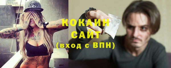 молекула духа Богданович