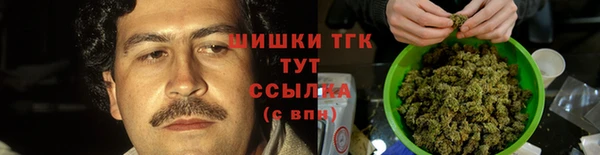 ECSTASY Богородицк