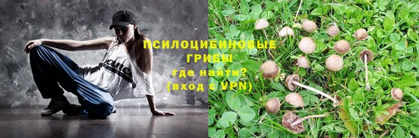 прущая мука Бородино