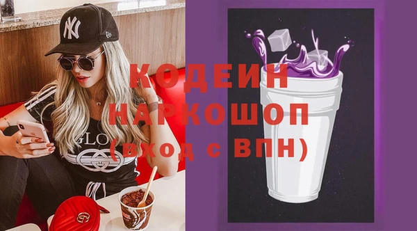 молекула духа Богданович
